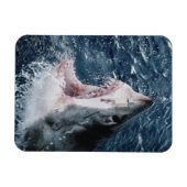 Magnet Flexible Chef du grand requin blanc (Horizontal)