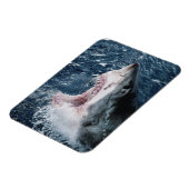 Magnet Flexible Chef du grand requin blanc (Côté Gauche)