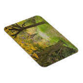 Magnet Flexible Chemin bordé d'arbres en automne (Côté Droit)