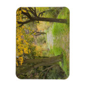 Magnet Flexible Chemin bordé d'arbres en automne (Vertical)