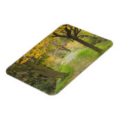 Magnet Flexible Chemin bordé d'arbres en automne (Côté Gauche)