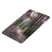 Magnet Flexible Chemin d'accès (Côté Gauche)