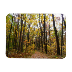 Magnet Flexible Chemin d'automne et Feuilles d'or au parc Laurel H