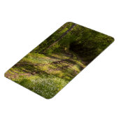 Magnet Flexible Chemin De Fer Abandonné Dans Une Forêt (Côté Gauche)