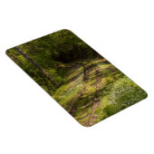Magnet Flexible Chemin De Fer Abandonné Dans Une Forêt (Côté Droit)