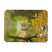 Magnet Flexible Chemin en automne (Horizontal)