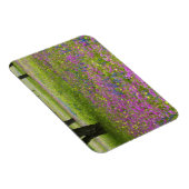 Magnet Flexible Chênes avec champ de Phlox, Bonnets Bleus (Côté Droit)