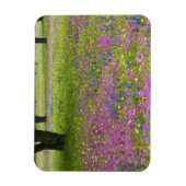Magnet Flexible Chênes avec champ de Phlox, Bonnets Bleus (Vertical)
