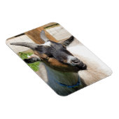 MAGNET FLEXIBLE CHÈQUE (Côté Droit)