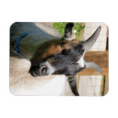 MAGNET FLEXIBLE CHÈQUE (Horizontal)