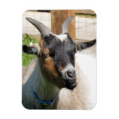 MAGNET FLEXIBLE CHÈQUE (Vertical)