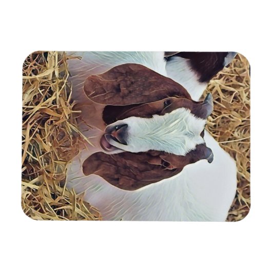 MAGNET FLEXIBLE CHÈQUE CUTE (Horizontal)