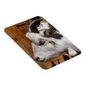 MAGNET FLEXIBLE CHÈQUE CUTE (Côté Droit)