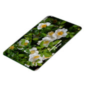 Magnet Flexible Cherokee Rose (Côté Gauche)