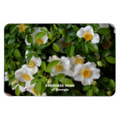 Magnet Flexible Cherokee Rose (Horizontal)