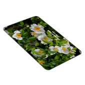 Magnet Flexible Cherokee Rose (Côté Droit)