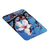 Magnet Flexible Cherry Blossom 2 (Côté Droit)