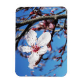Magnet Flexible Cherry Blossom 2 (Vertical)