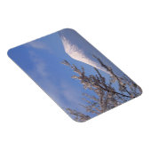 Magnet Flexible Cherry Blossom et Mt Fuji 2 (Côté Droit)