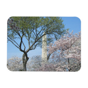 Magnet Flexible Cherry Blossoms et le monument de Washington à DC