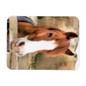 MAGNET FLEXIBLE CHESTNUT CHEVAL (Horizontal)