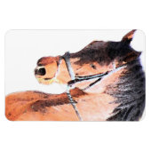Magnet Flexible Cheval (Horizontal)