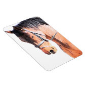 Magnet Flexible Cheval (Côté Droit)