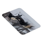 Magnet Flexible Cheval à travers la neige (Côté Droit)
