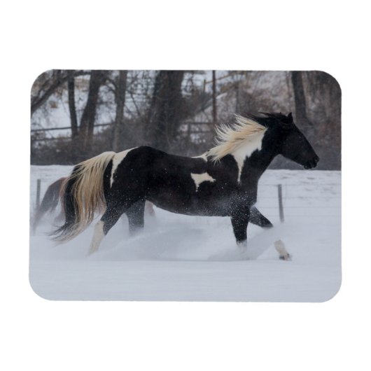Magnet Flexible Cheval à travers la neige (Horizontal)