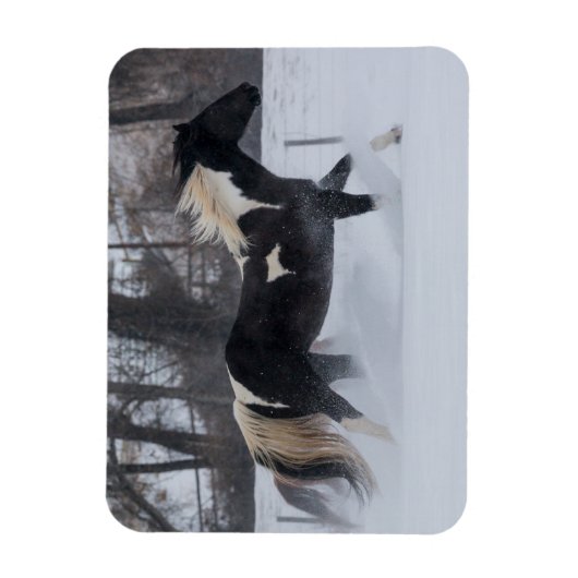 Magnet Flexible Cheval à travers la neige (Vertical)
