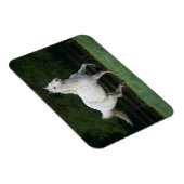 Magnet Flexible Cheval Appaloosa 1 (Côté Droit)