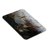 Magnet Flexible Cheval Appaloosa courant dans la neige (Côté Droit)