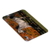Magnet Flexible Cheval arabe : Automne 1 (Côté Droit)