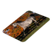 Magnet Flexible Cheval arabe : Automne 1 (Côté Gauche)