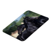 Magnet Flexible Cheval Arabe qui s'écroule (Côté Gauche)