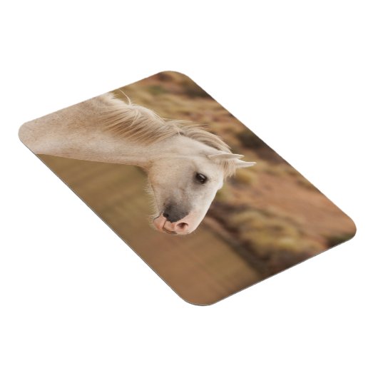 Magnet Flexible Cheval blanc (Côté Droit)