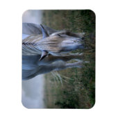 Magnet Flexible Cheval blanc (Vertical)