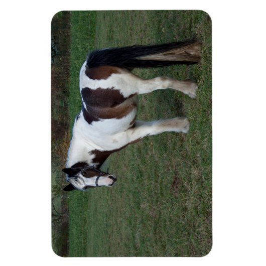 Magnet Flexible Cheval blanc Brown (Vertical)