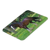Magnet Flexible Cheval Clydesdale (Côté Gauche)