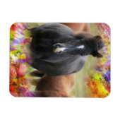 Magnet Flexible Cheval coloré (Horizontal)