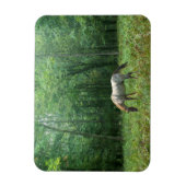 Magnet Flexible Cheval dans le pré (Vertical)