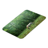 Magnet Flexible Cheval dans le pré (Côté Gauche)