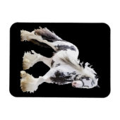 Magnet Flexible Cheval d'attelage Gypsy Mare Stallion (Horizontal)