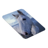 Magnet Flexible Cheval de Camargue (Côté Droit)