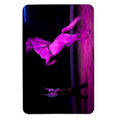 Magnet Flexible Cheval de cirque rose (Vertical)