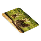 Magnet Flexible Cheval de la mère et du poulain (Côté Droit)