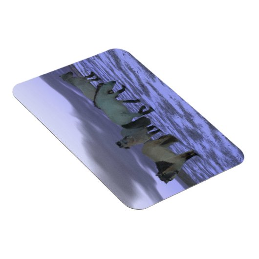 Magnet Flexible Cheval de l'aube (Côté Droit)