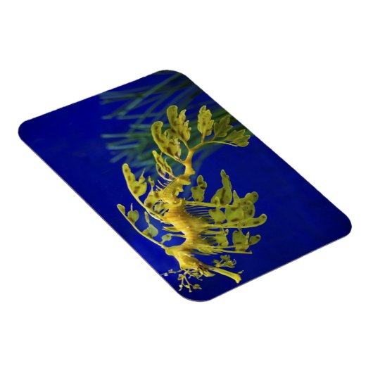 Magnet Flexible Cheval de mer (Côté Droit)