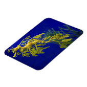 Magnet Flexible Cheval de mer (Côté Gauche)