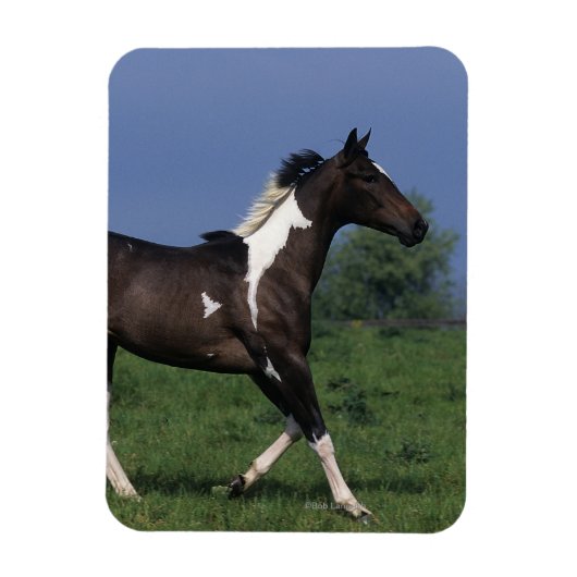 Magnet Flexible Cheval de peinture 2 (Vertical)